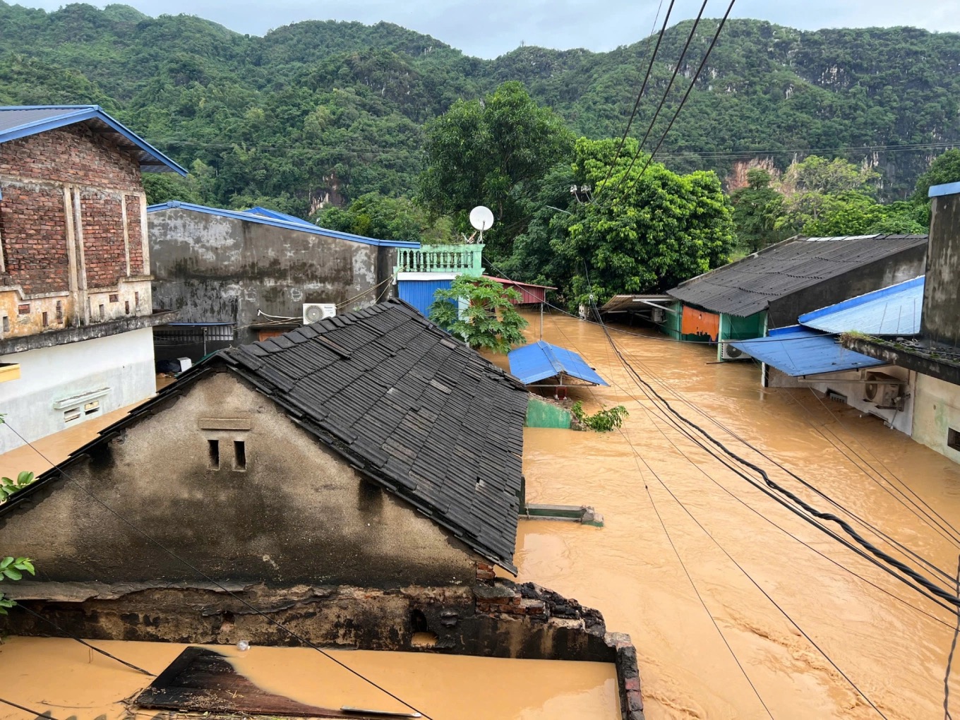 Sau bùn đất - hoa vẫn sẽ nở