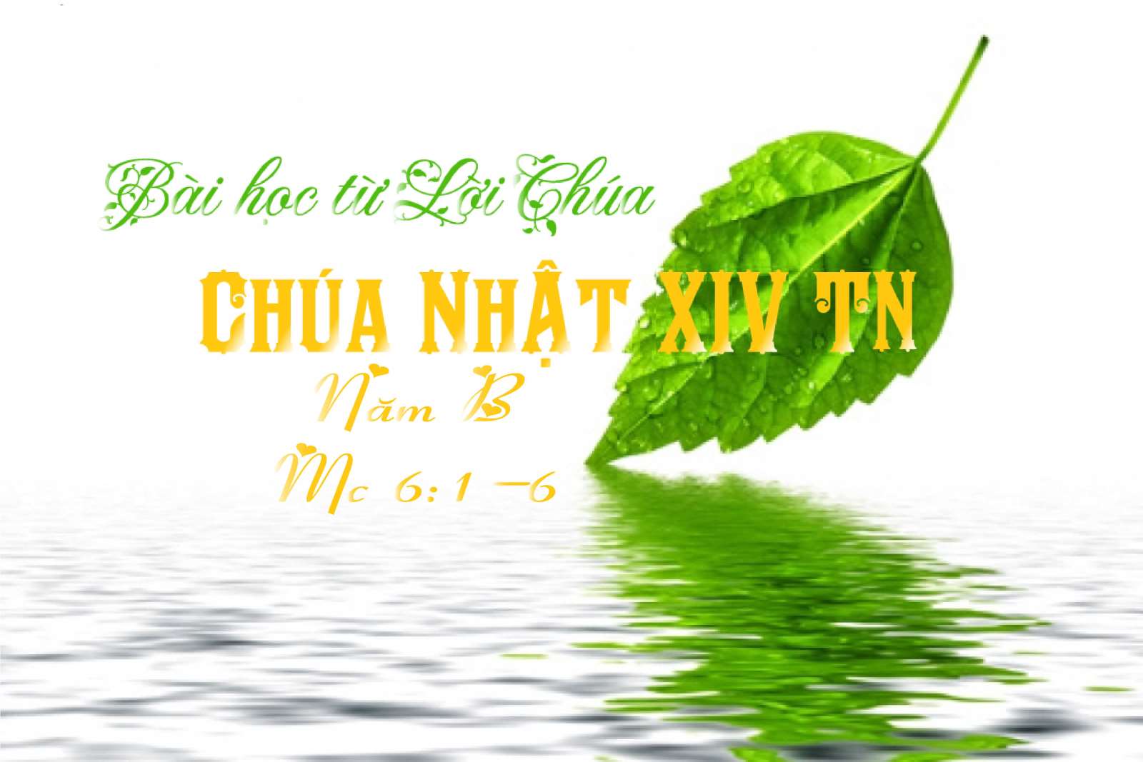 Bài học Lời Chúa_Chúa Nhật XIV Thường Niên_Mc 6:1-6