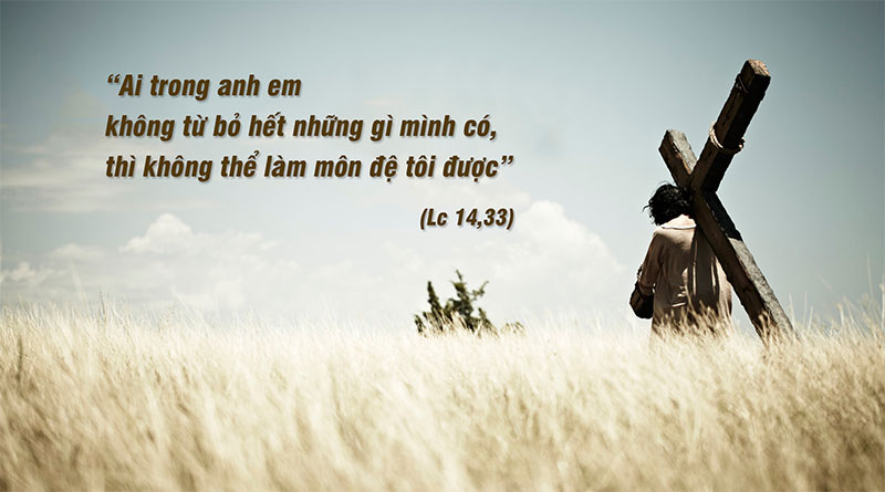 Hạt Giống Nảy Mầm_Thứ 4 tuần XXXI Thường Niên_Lc 14,25-33