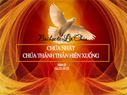 Bài học từ Lời Chúa_Chúa Nhật Chúa Thánh Thần Hiện Xuống_Ga 20:19-23