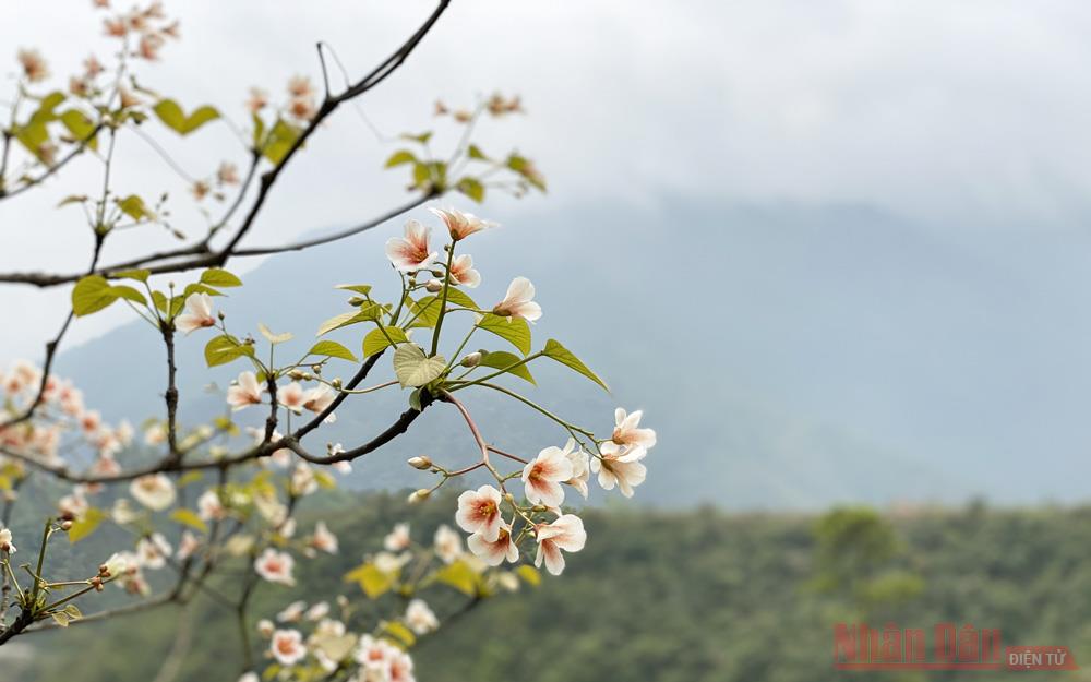 Hạt Giống Nảy Mầm_Thứ 2 tuần XXXIII Thường Niên_Lc 17,1-6