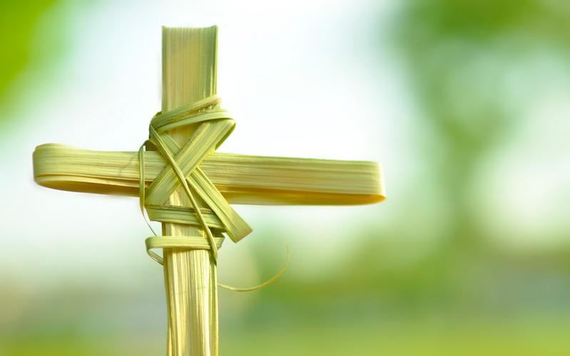 Bài học từ Lời Chúa_Chúa Nhật Lễ Lá (C)_Lc 19:28-40