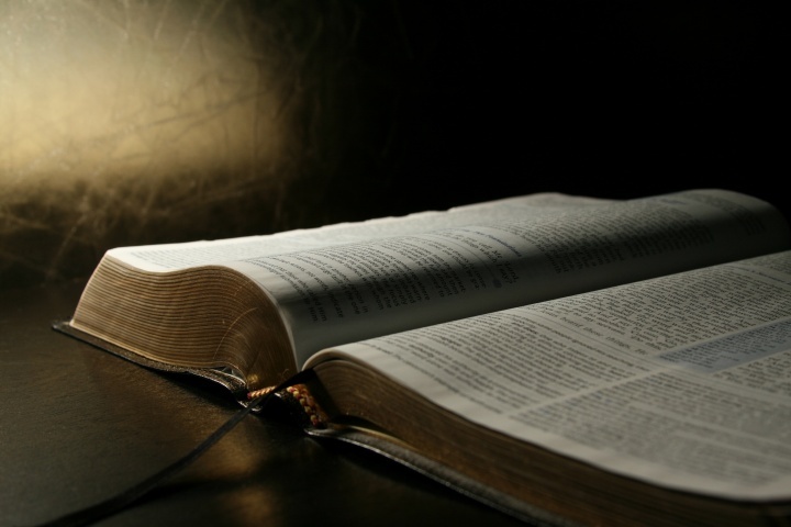 Hạt Giống Nảy Mầm_Thứ 2 tuần XXII Thường Niên_Lc 4,16-30