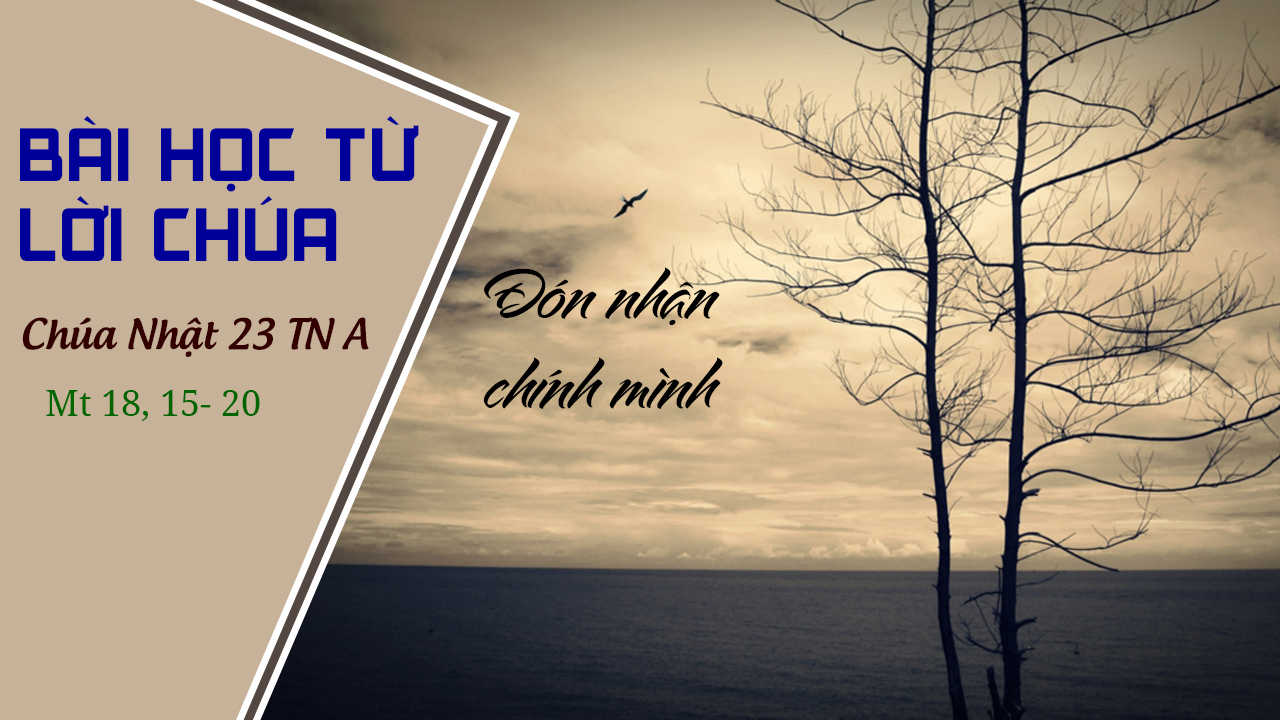 Bài Học Từ Lời Chúa _ Chúa Nhật 23 TN A_ Mt 18:15-20