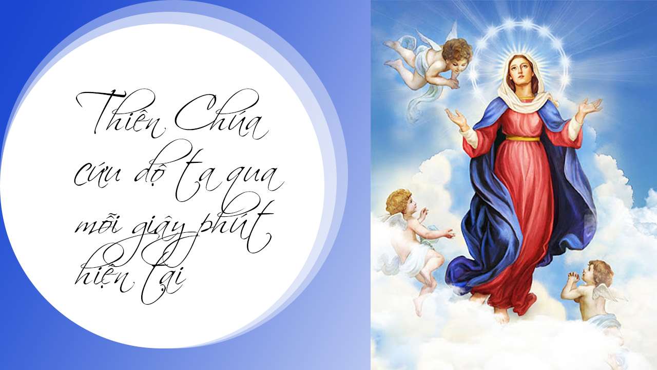 Thứ 3 Tuần 19A- TN _ Lc 1,39-46.     Đức Maria Hồn Xác Lên Trời