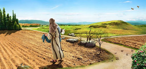 Hạt Giống Nảy Mầm_Thứ 6 tuần XVI Thường Niên_Mt 13,18-23